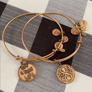 Alex and Ani Set of 2 Bangles